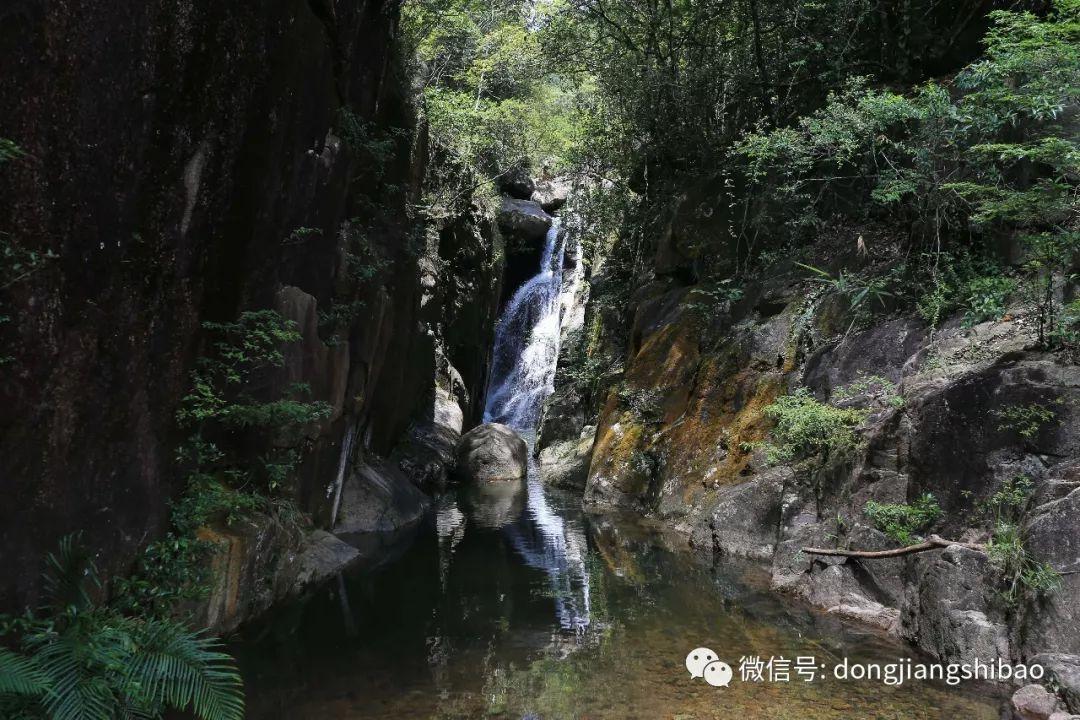 上火牙疼怎么办才能治